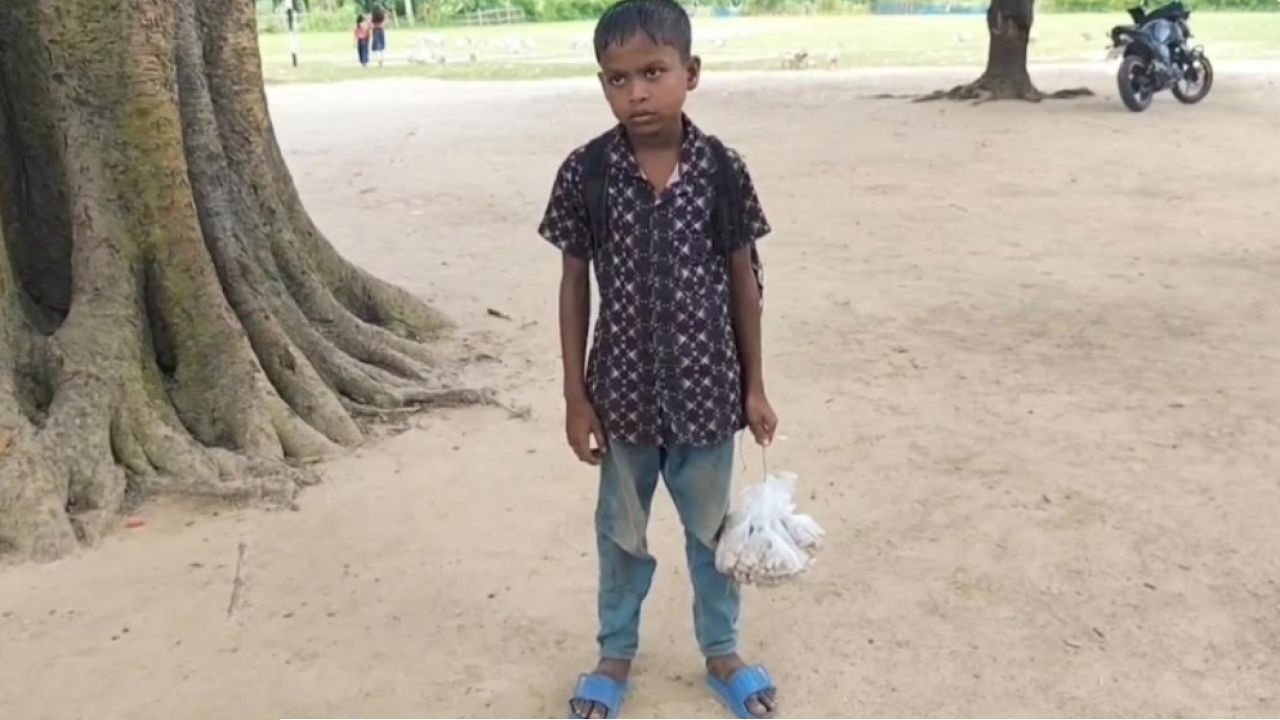 কাঁধে বই, হাতে বাদামের ঝোলা  ছোট্ট মাহিমের ওপর পুরো সংসার।
