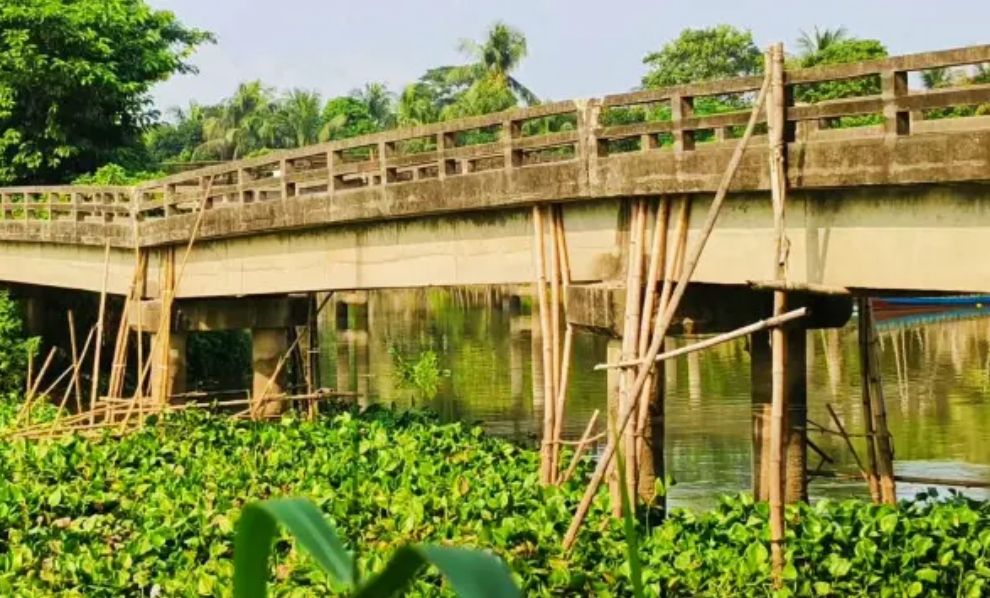 কুমিল্লায় বাঁশের খুঁটিতে ভর করে টিকে আছে কংক্রিটের সেতু!