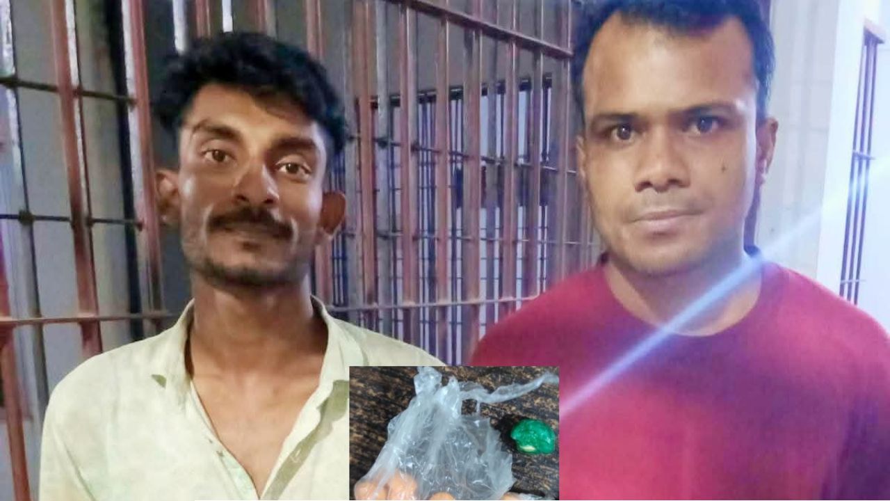 শৈলকুপায় পুলিশের অভিযানে ১৪ পিস ইয়াবাসহ দুই যুবক আটক