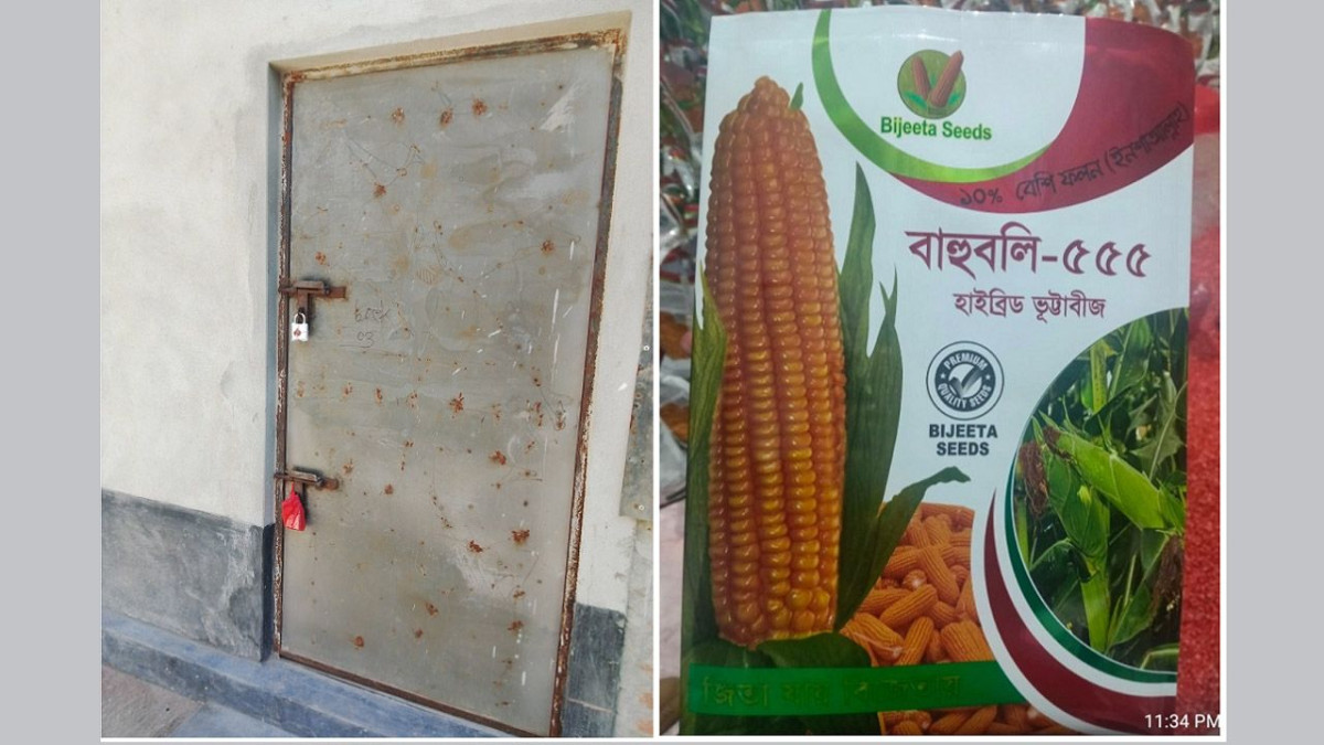 পাটগ্রামে অবৈধ ভুট্টাবীজ প্যাকেটজাতের অভিযোগ ও গোডাউন সিলগালা